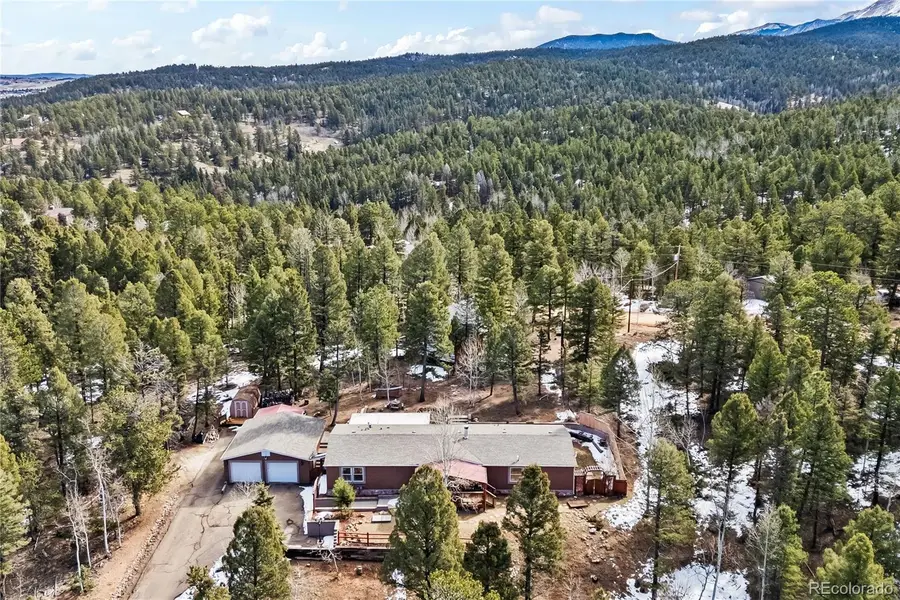 146 Kokwapy Court, Florissant, CO 80816 - #2