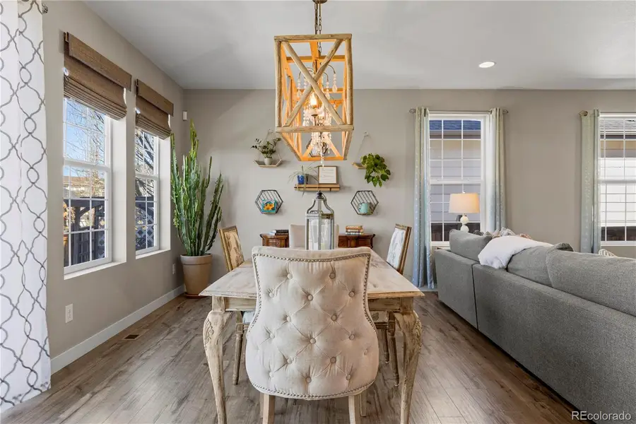 393 Midden Place, Castle Rock, CO 80104 - #3