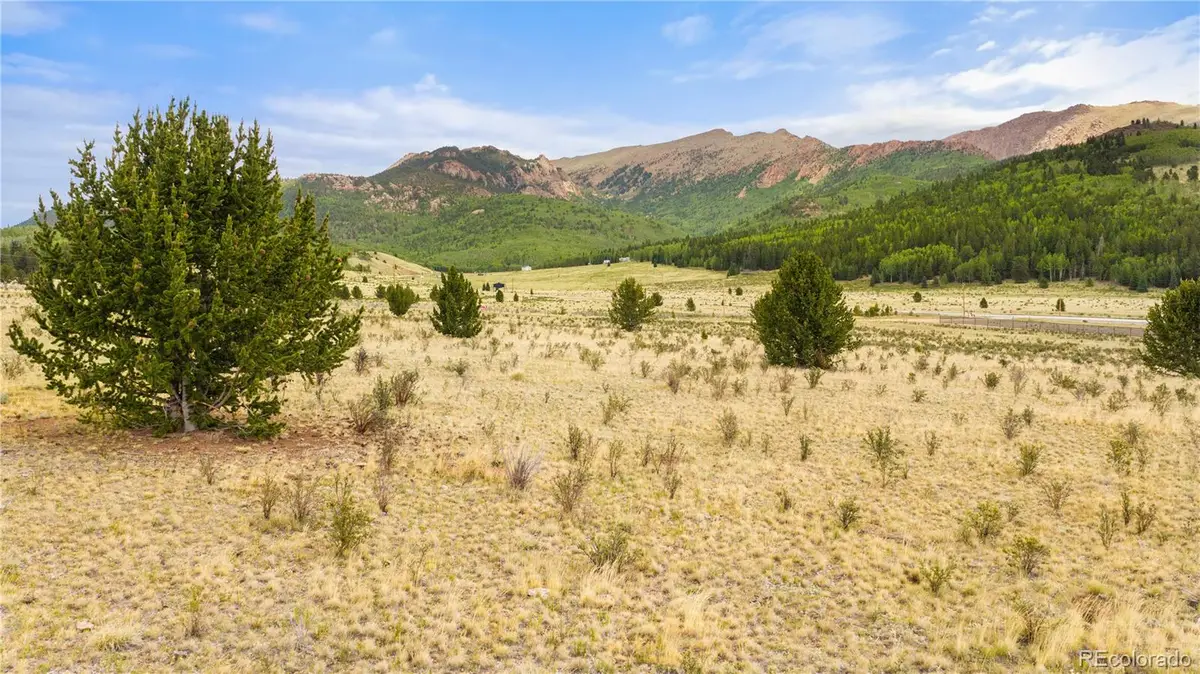 11881 Sh 67, Divide, CO 80814 - #1