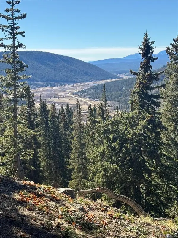 275 Lakeview Drive, Fairplay, CO 80420