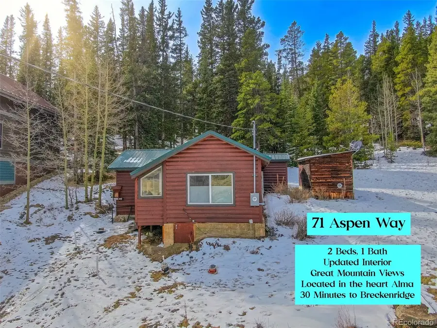 71 Aspen Street, Alma, CO 80420 - #3