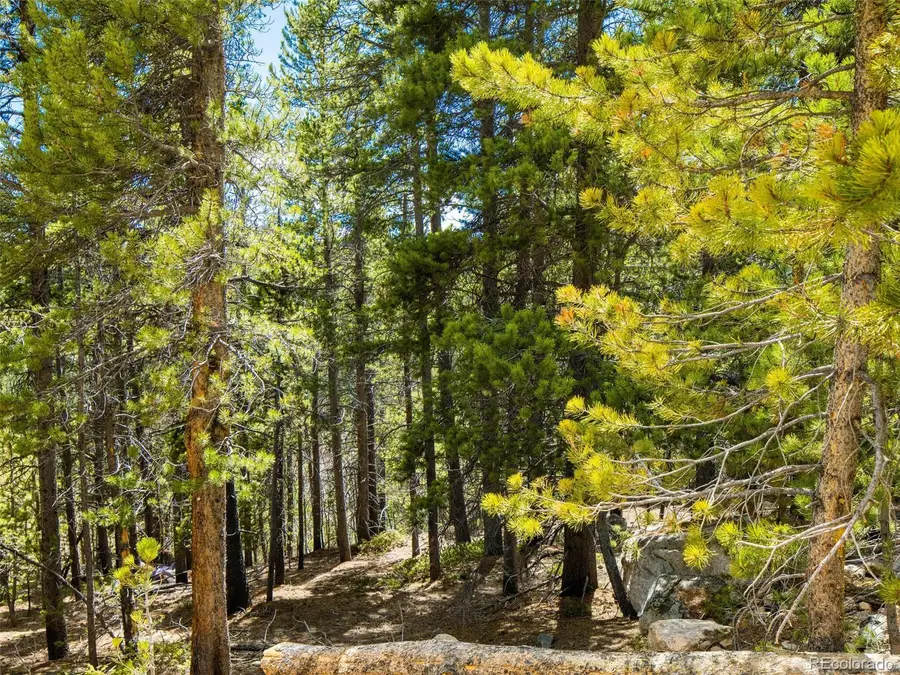 9 Rainbow Road, Idaho Springs, CO 80452 - #3