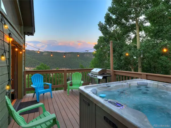 1095 Quartzville Road, Alma, CO 80440