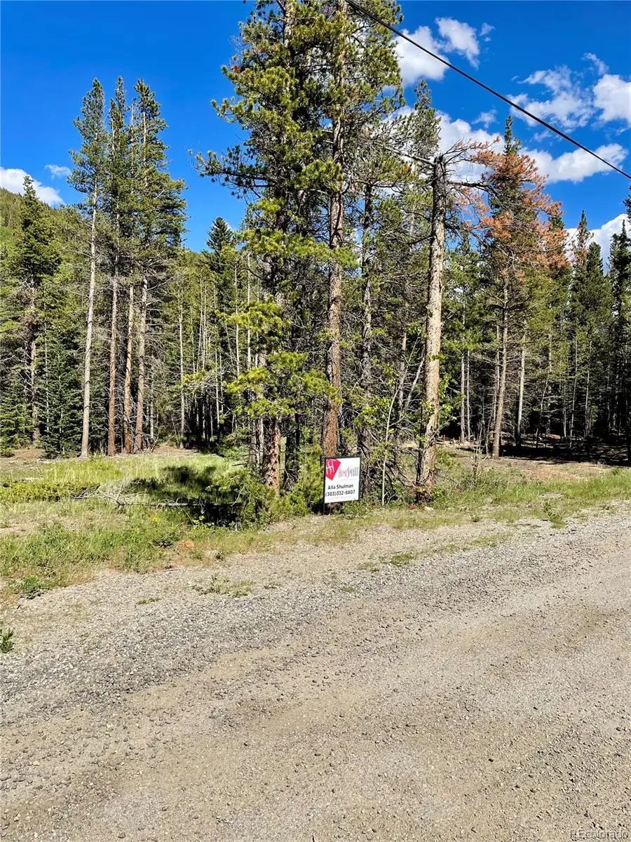 Silver Creek Road, Idaho Springs, CO 80452 - #3