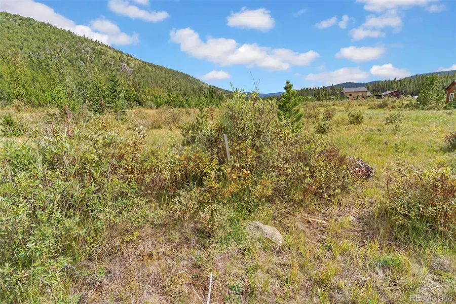 Lot 43 & 44 Silver Creek Road, Idaho Springs, CO 80452 - #2
