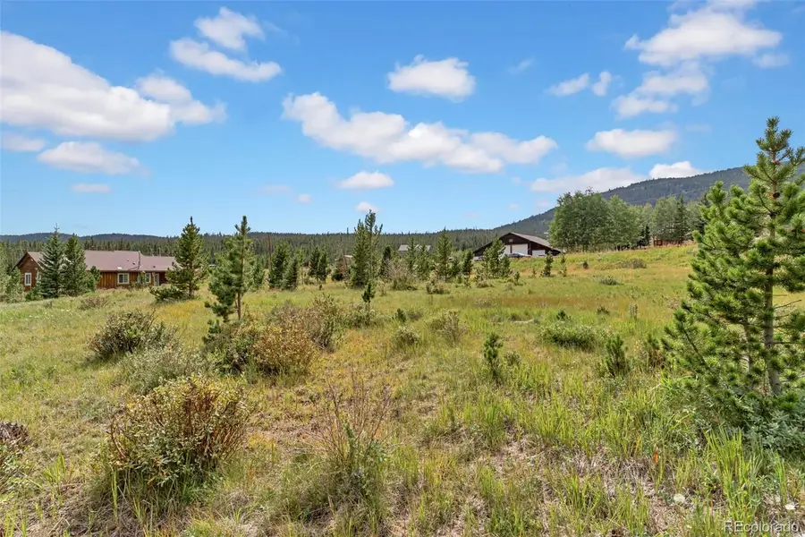 Lot 43 & 44 Silver Creek Road, Idaho Springs, CO 80452 - #3