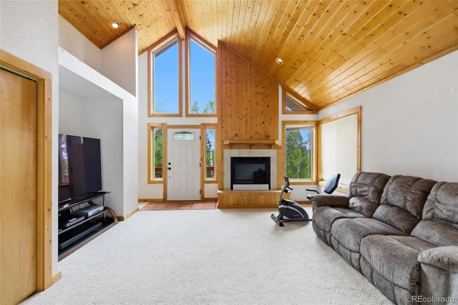 290 Eagle Rock Road, Florissant, CO 80816 - #3