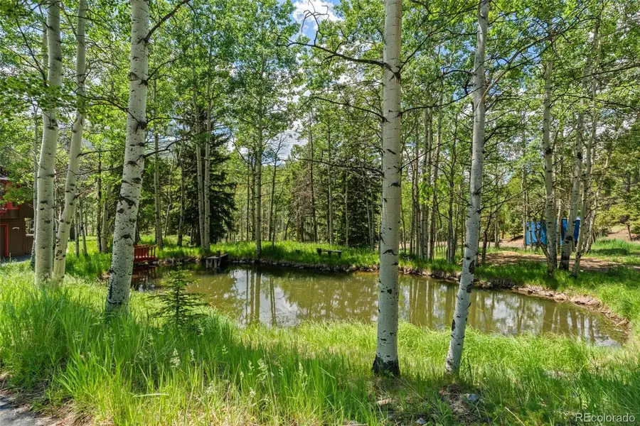 9030 Rex Lane, Conifer, CO 80433 - #2