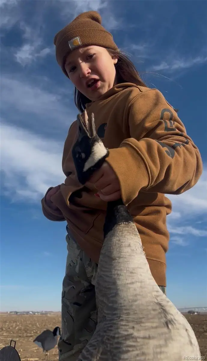 Tbd County Road 19, Fort Lupton, CO 80621 - #2