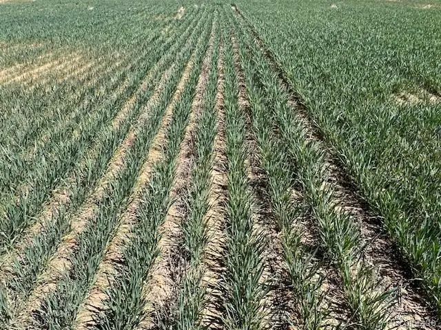 Tbd County Road 19, Fort Lupton, CO 80621 - #3