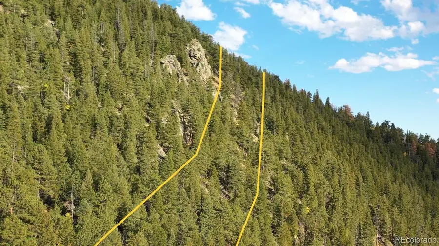 111 Bellevue Mountain Drive, Idaho Springs, CO 80452 - #3