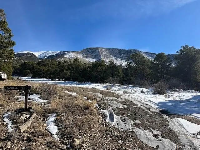 209 Blanca Place, Mosca, CO 81146 - #1