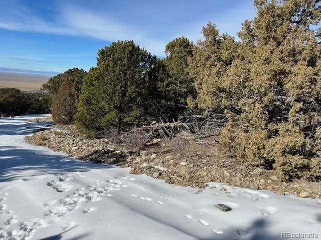 209 Blanca Place, Mosca, CO 81146 - #2