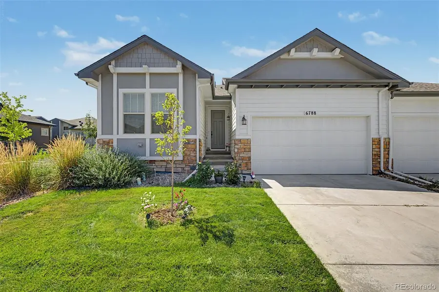6788 Zebra Grass Lane, Parker, CO 80138 - #2