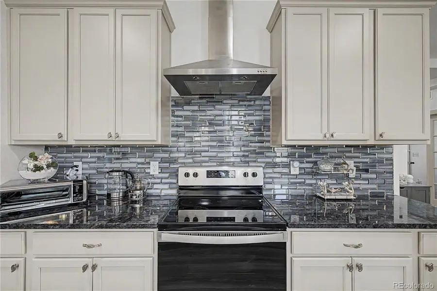 6788 Zebra Grass Lane, Parker, CO 80138 - #3