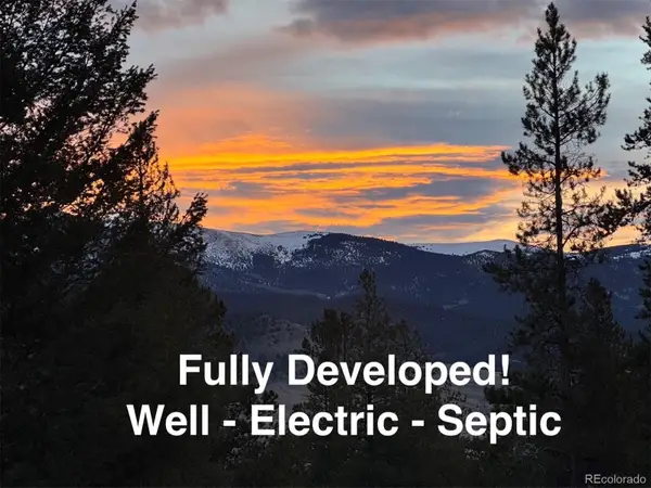 640 Edward E Hill Drive, Twin Lakes, CO 81251