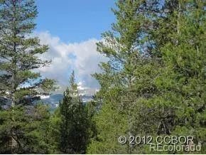 205 Alpine Cirque, Leadville, CO 80461 - #1