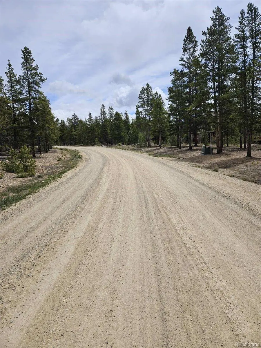 205 Alpine Cirque, Leadville, CO 80461 - #2