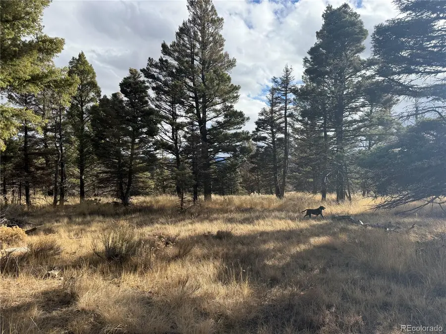 310 Morley Place, Fort Garland, CO 81133 - Image #3