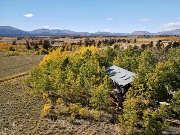 318 Foxtail Lane, Fairplay, CO 80440