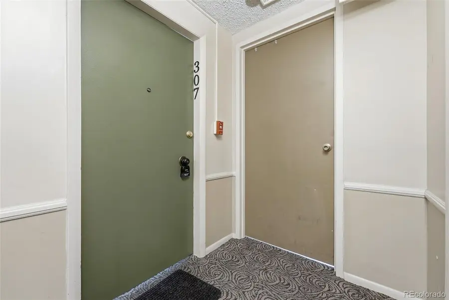 1050 N Lafayette Street #307, Denver, CO 80218 - #2