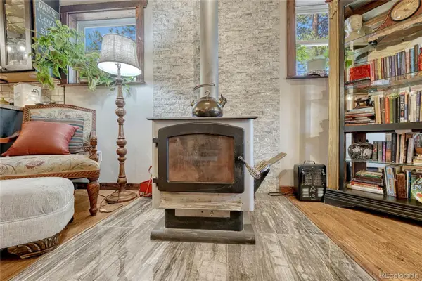 133 Brown Street, Bailey, CO 80421