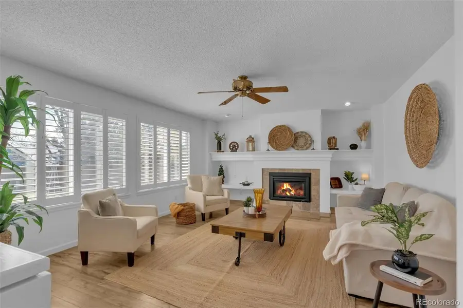 9246 Madras Court, Highlands Ranch, CO 80130 - #3