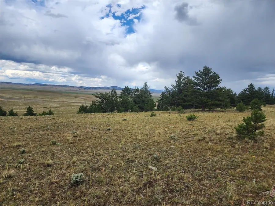 217 Cr-439, Hartsel, CO 80449 - #3