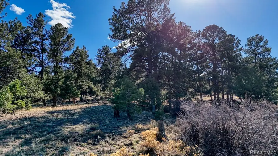 L5124 Arikara Trail, Hartsel, CO 80449 - #2