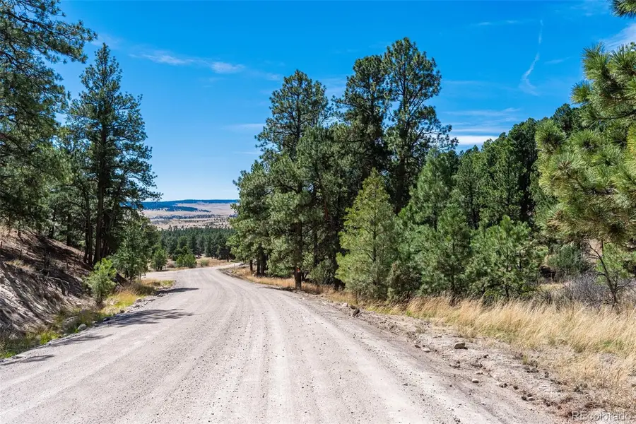 22555 County Road 49, Elbert, CO 80106 - #3