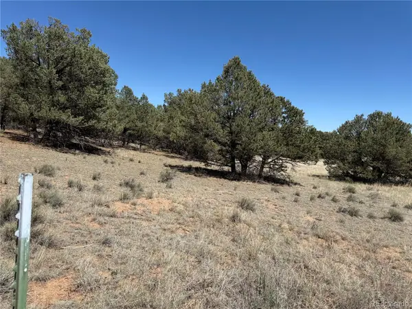520 W View Road, Cotopaxi, CO 81223