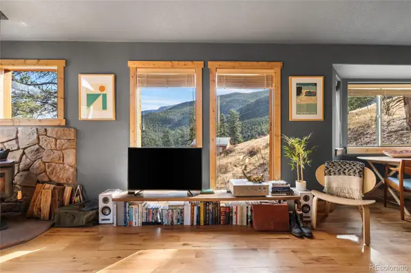 225 E Cline Drive, Shawnee, CO 80475