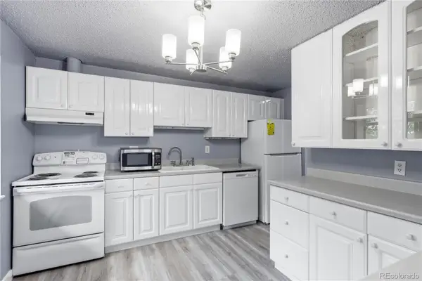 1008 N Corona Street #501, Denver, CO 80218