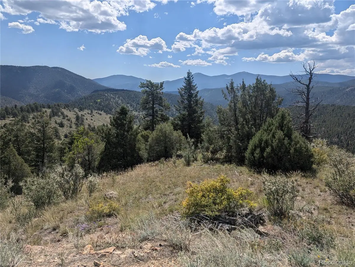 00 Maud L, Dumont, CO 80436 - #1