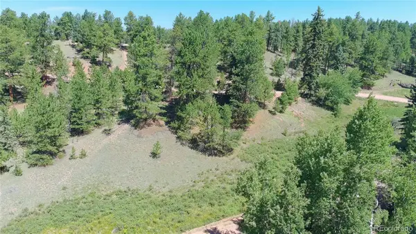 787 Spring Valley Lane, Florissant, CO 80816