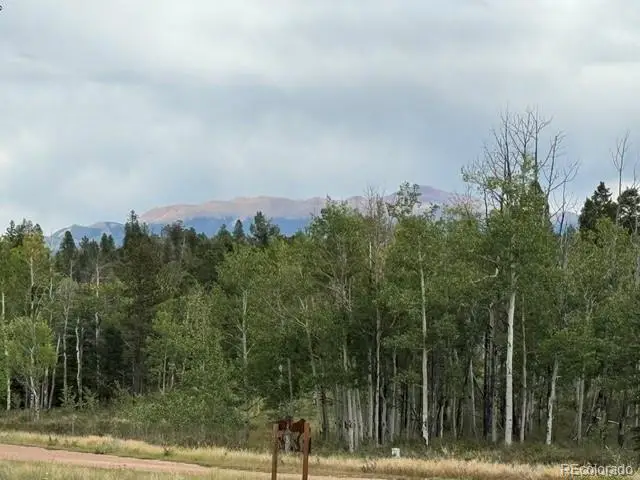 455 Aspen Way Drive, Florissant, CO 80816 - #1