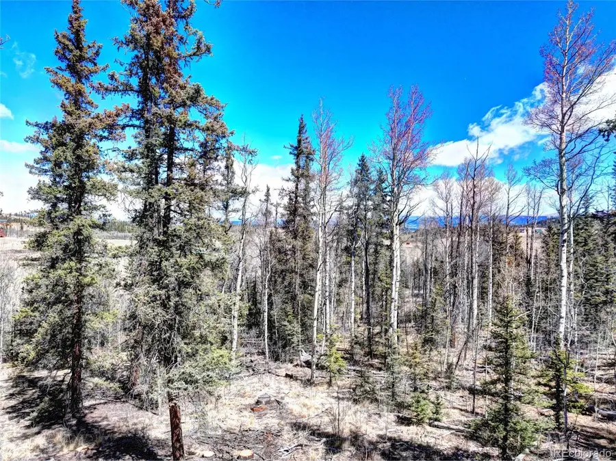 1059 Piaute Way, Jefferson, CO 80456 - #3