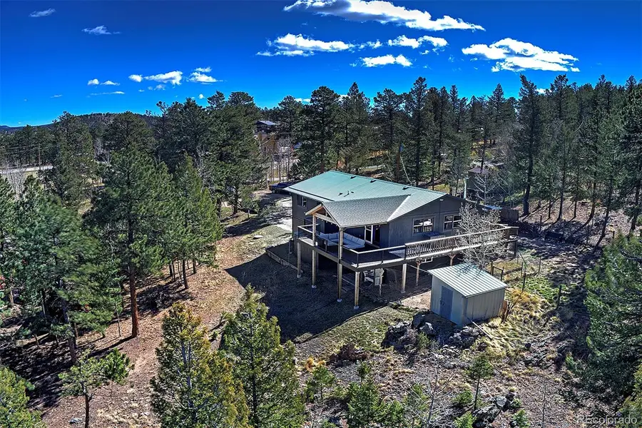 81 Fir Lane, Bailey, CO 80421 - #3