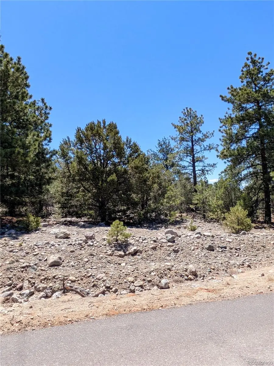 1681 Camino Real, Crestone, CO 81131 - #3