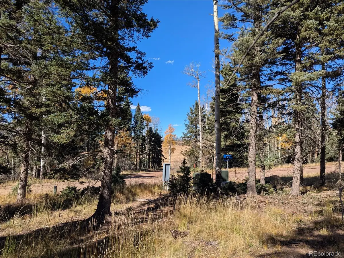 2448 Petito Drive, Fort Garland, CO 81133 - Image #1