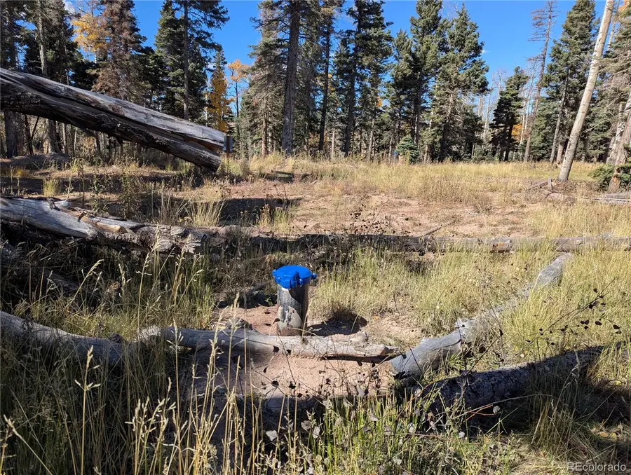 2448 Petito Drive, Fort Garland, CO 81133 - Image #2