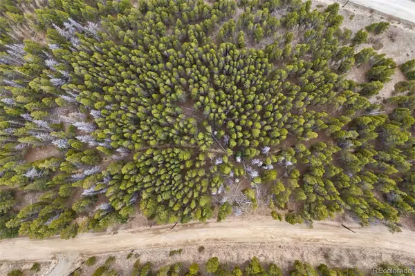 703 Texas Drive, Idaho Springs, CO 80452