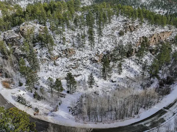 400 Crow Valley Road, Bailey, CO 80421