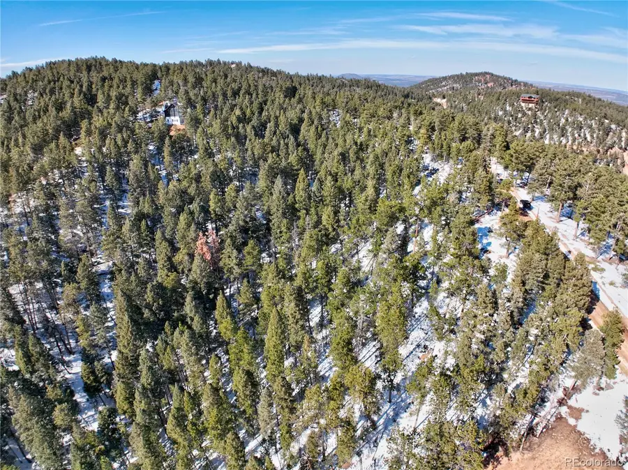 13985 Boulder Lane, Larkspur, CO 80118 - Image #3