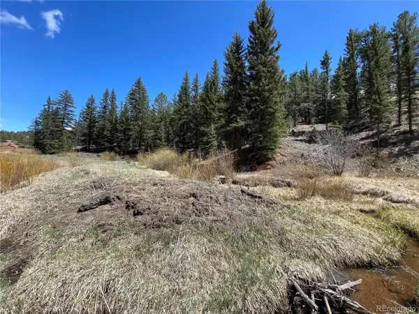 00 Wildhorn Road, Florissant, CO 80816