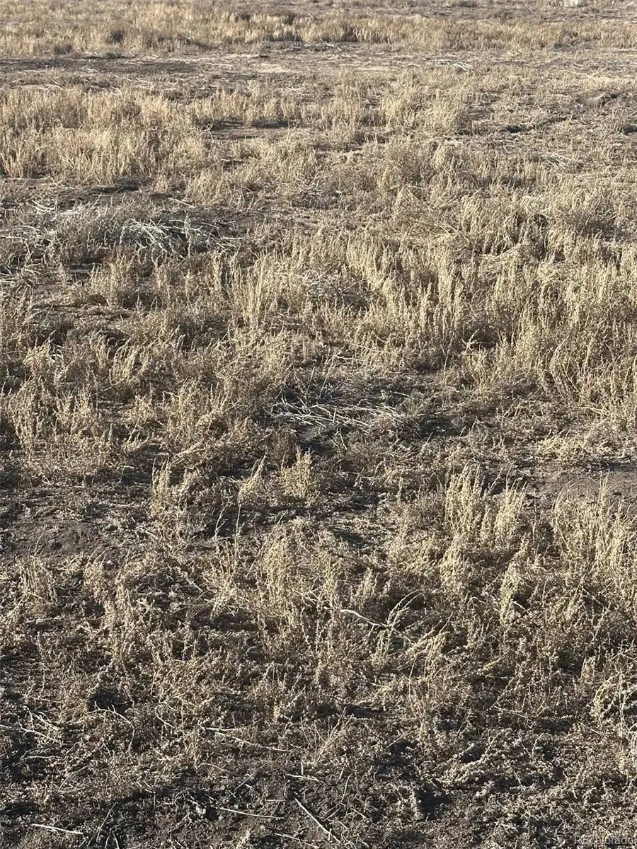 LOT 7 San Luis Valley Ranches, Blanca, CO 81123 - #3