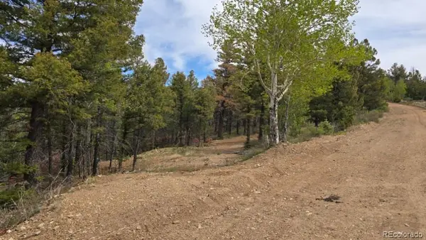 Lot 5825 Covington Road, Fort Garland, CO 81133