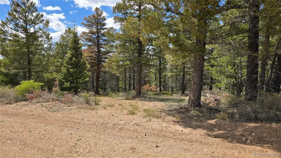 Lot 5825 Covington Road, Fort Garland, CO 81133 - #3