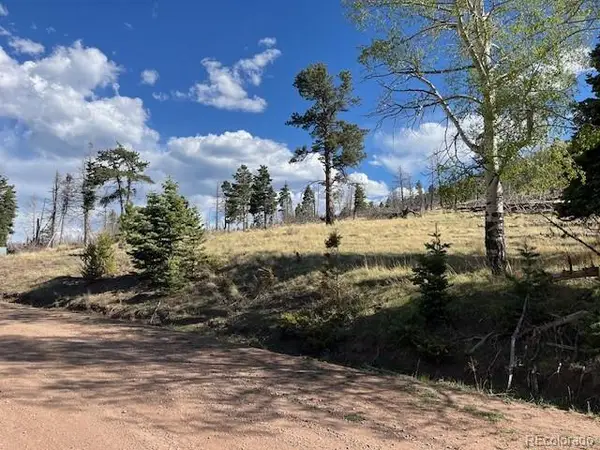 448 Wagon Mesa Loop, Fort Garland, CO 81133