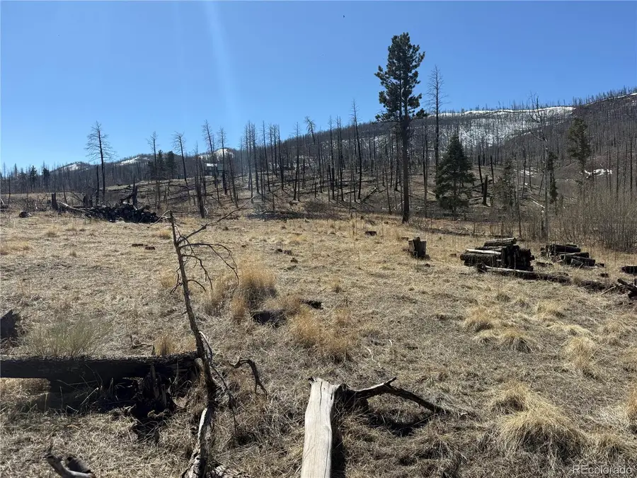Lot 999 Foy Place, Fort Garland, CO 81133 - #2